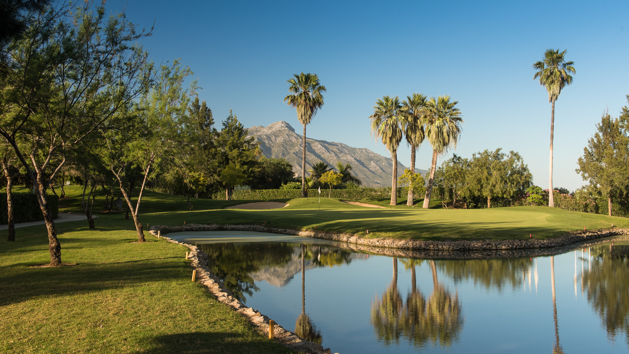 La quinta golf 8 a