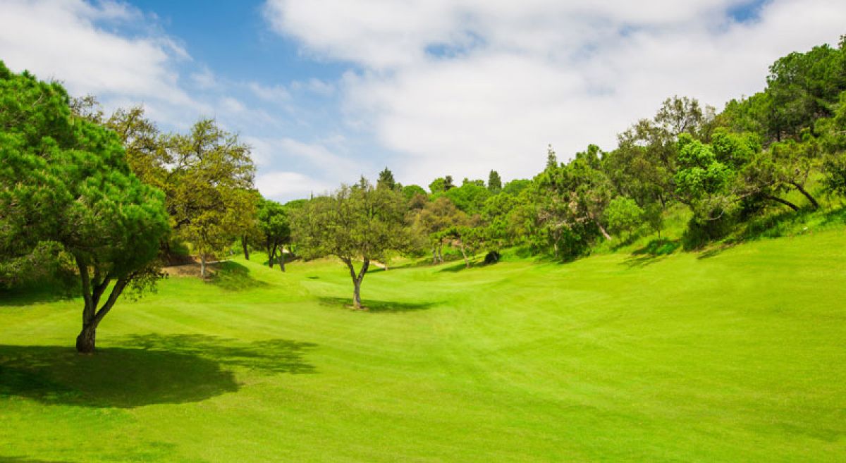 Chaparral Golf Club