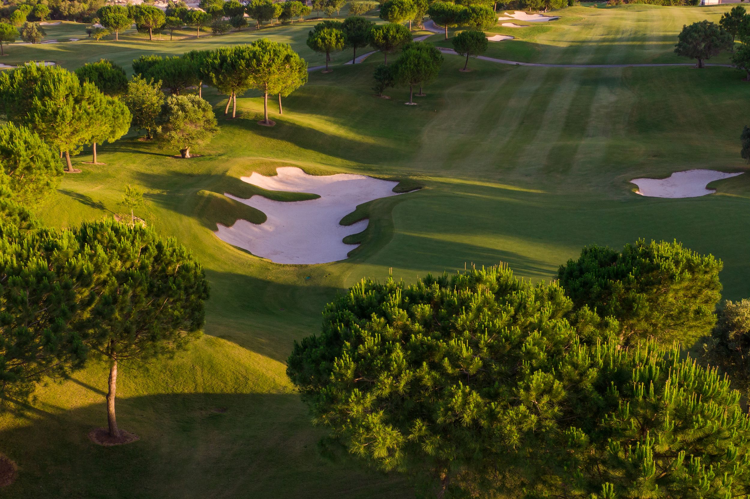 Las Colinas golf course