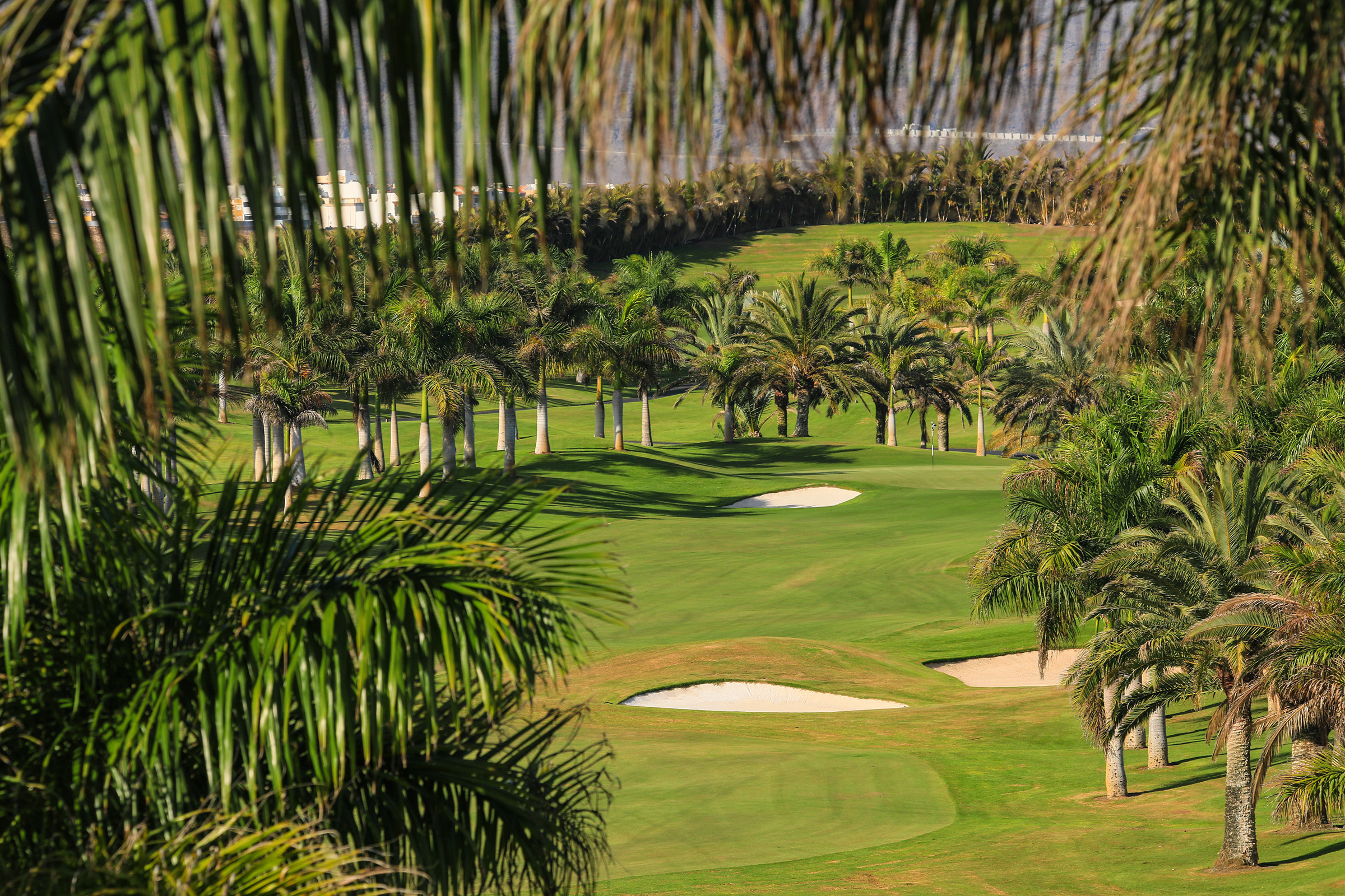 Lopesan Meloneras Golf