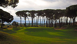 Emporda (Forest)