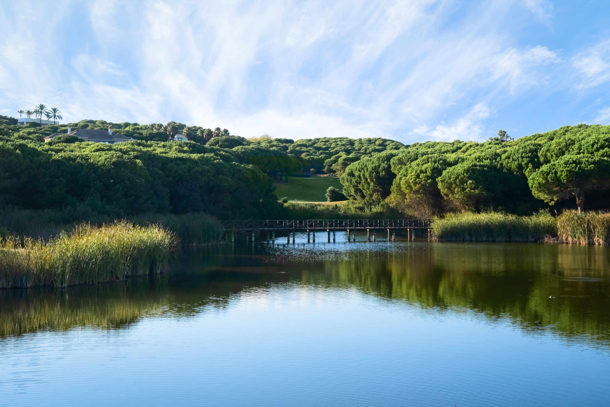 Almenara (Pinos & Alcornoques)