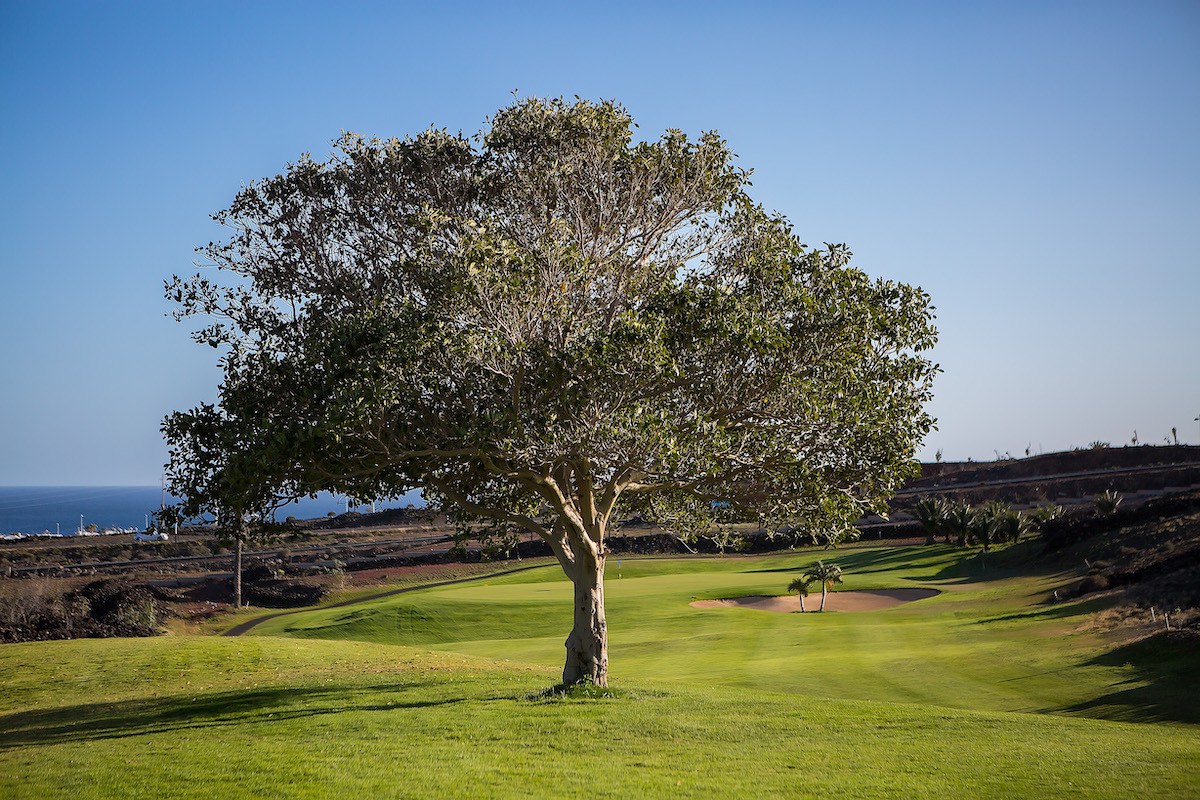 Lanzarote Golf